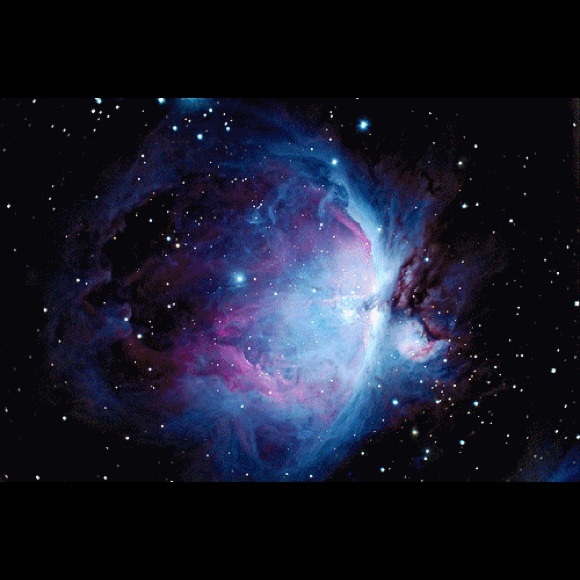 Meet your Posher, Chesapeake - Picture 1 of 1